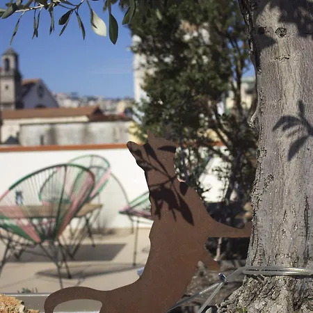 Bed & Breakfast Schiara